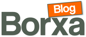 Borxa Blog logo footer