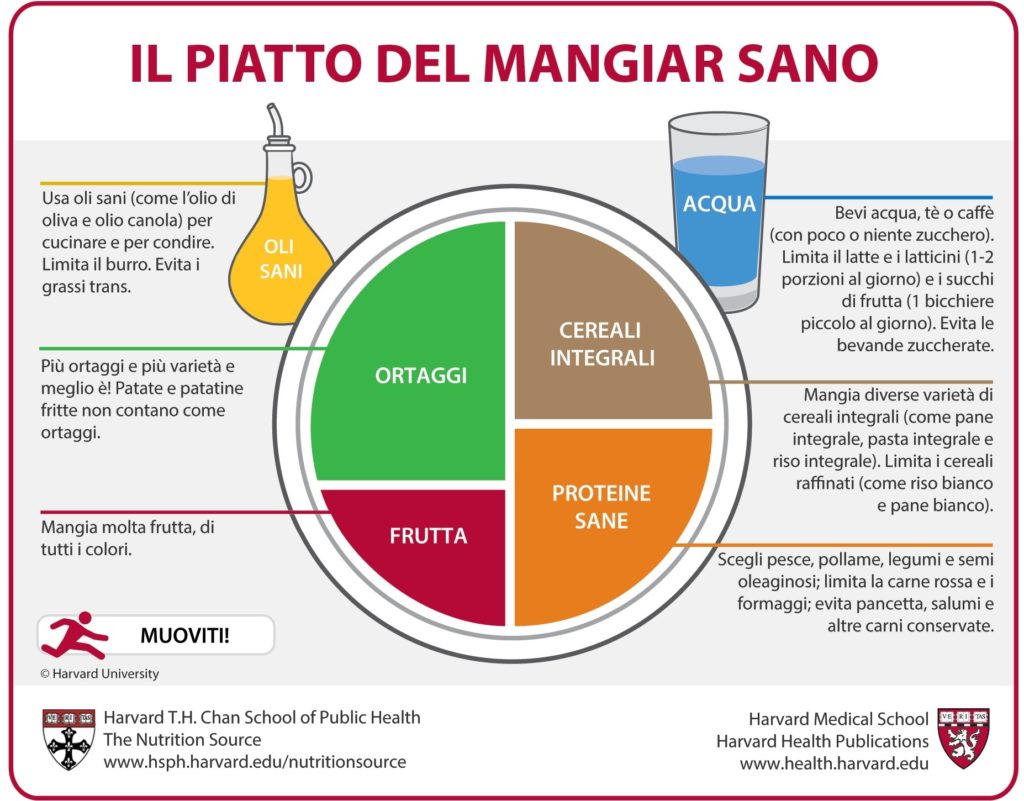 Il piatto del mangiare sano