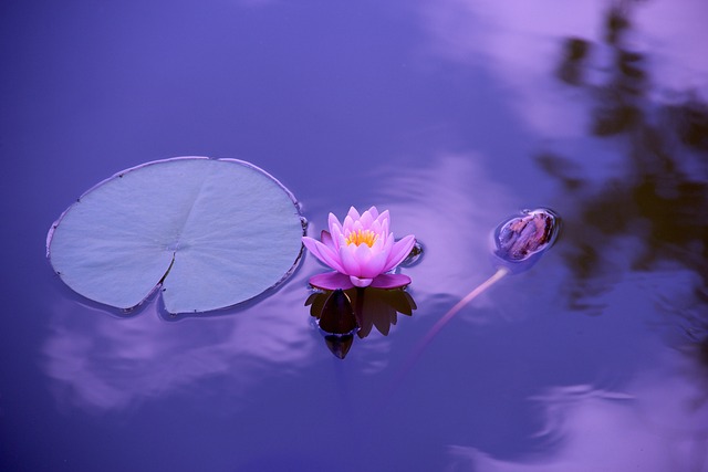 Meditazione oltre concetti e le parole